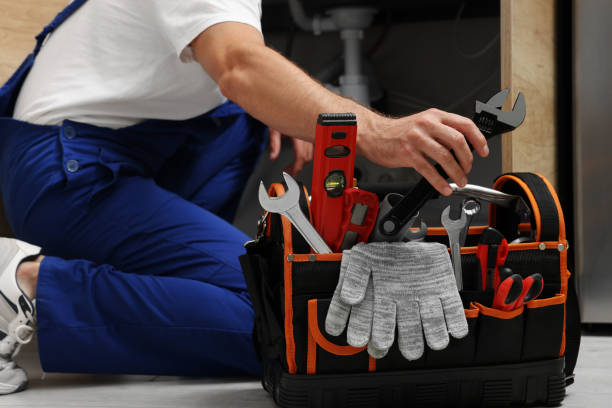 Best Plumbing Inspection Services  in Cementon, PA